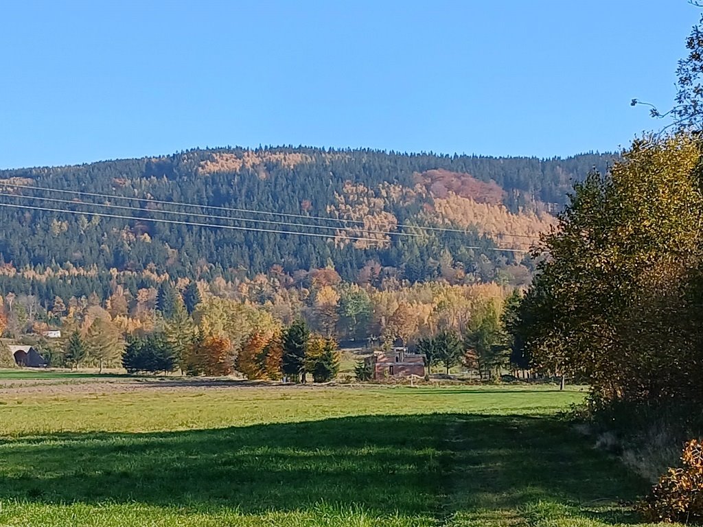 Działka budowlana na sprzedaż Kowary, Tadeusza Rejtana  4 732m2 Foto 1