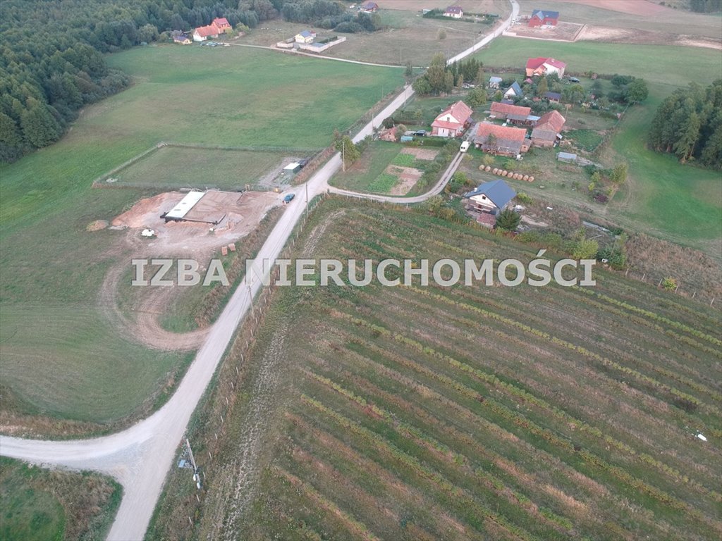 Działka budowlana na sprzedaż Chruściele  3 000m2 Foto 12