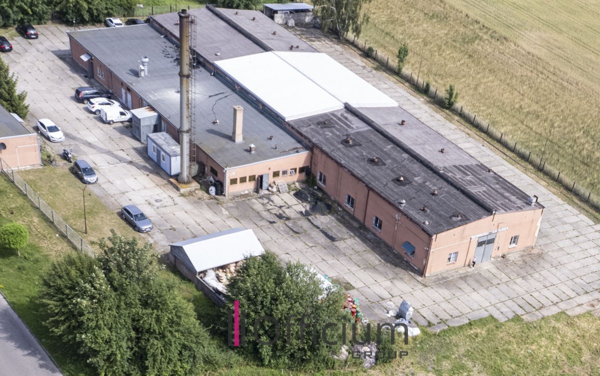 Lokal użytkowy na sprzedaż Żuromin, Olszewska  1 550m2 Foto 2