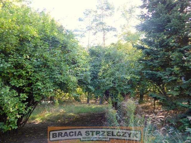 Działka budowlana na sprzedaż Brwinów 6 431m2 Foto 1 Działka budowlana na sprzedaż Brwinów 6 431m2 Foto 1