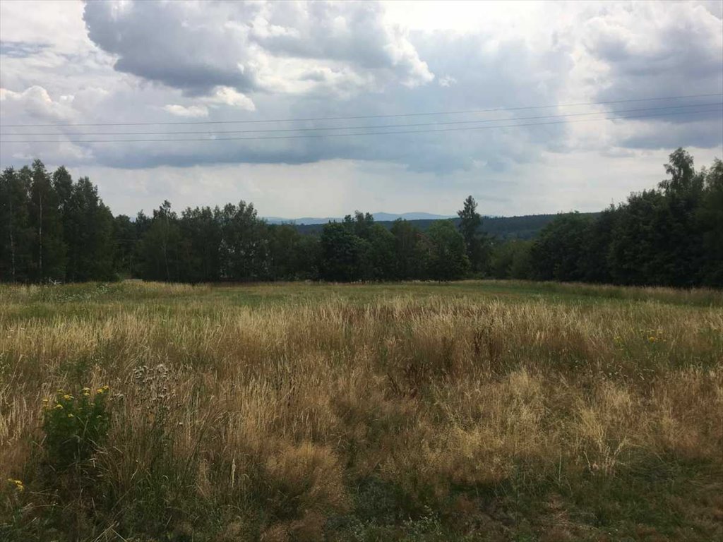 Działka budowlana 1054 m² w Polanicy Zdrój z widokiem na góry Polanica-Zdrój  1 054m2 Foto 1