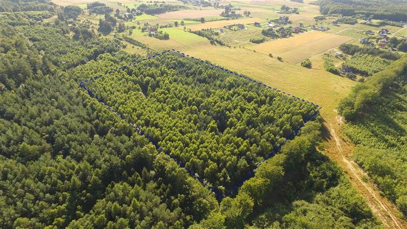 Działka budowlana na sprzedaż Sopieszyno, Leśna  44 000m2 Foto 2