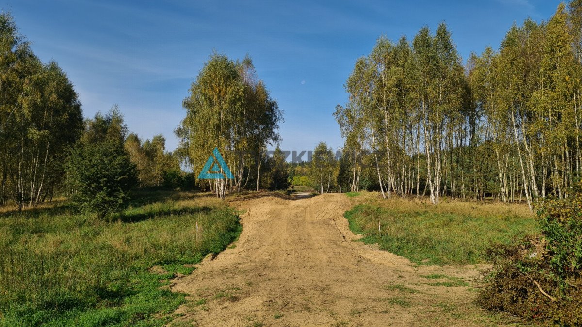 Działka budowlana na sprzedaż Graniczna Wieś  3 001m2 Foto 7