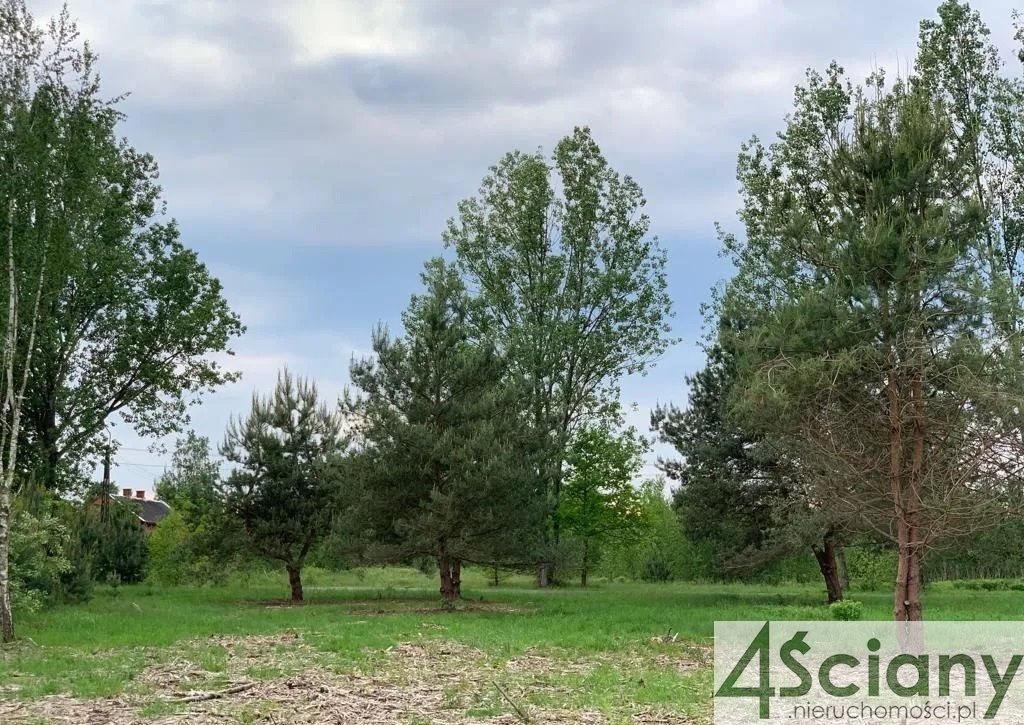 Działka budowlana na sprzedaż Ojrzanów  4 200m2 Foto 6