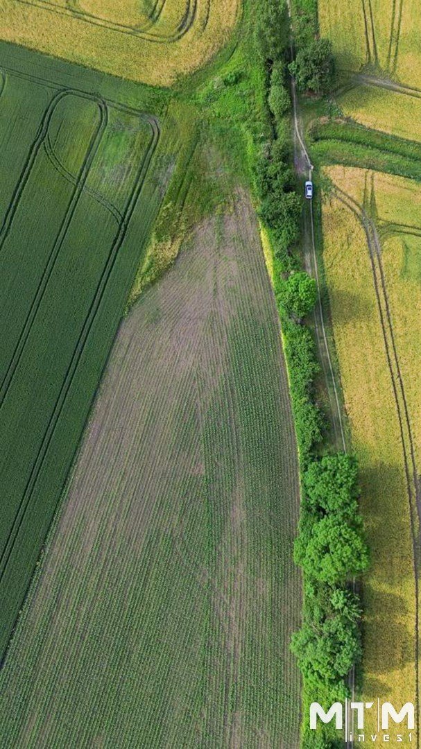 Działka rolna na sprzedaż Iwiny  9 878m2 Foto 3