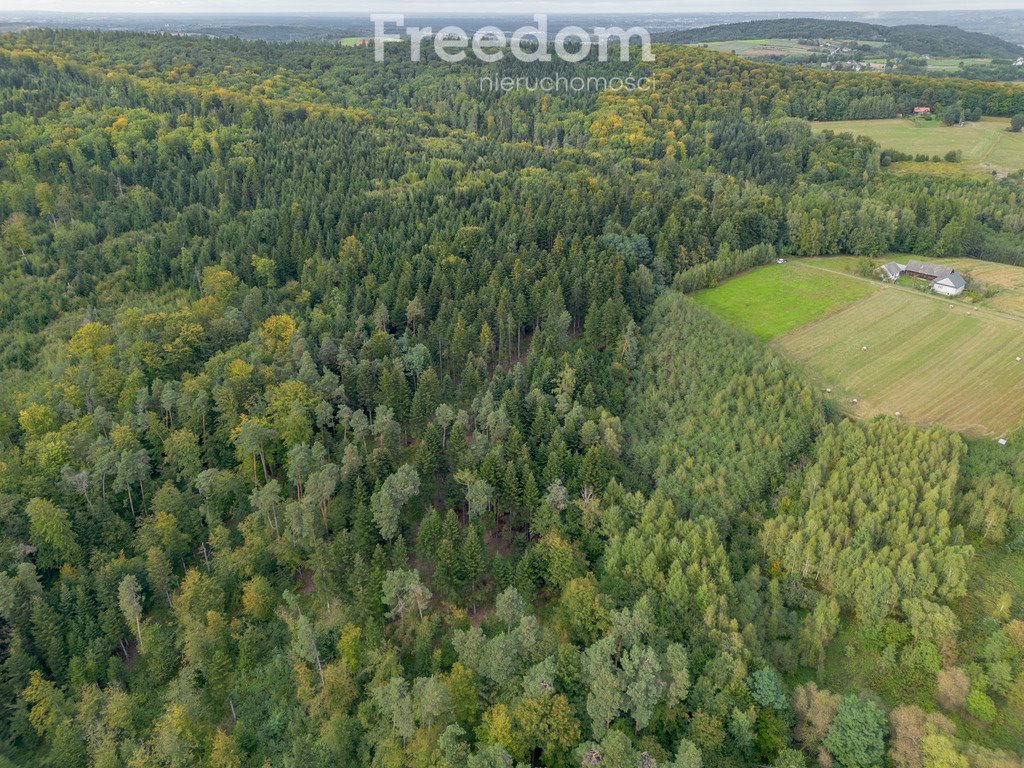 Działka leśna na sprzedaż Olszyny  9 790m2 Foto 13