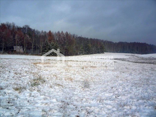 Działka budowlana na sprzedaż Nowa Wieś Przywidzka 11 600m2 Foto 1 Działka budowlana na sprzedaż Nowa Wieś Przywidzka 11 600m2 Foto 1