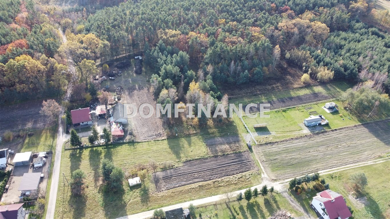 Działka budowlana na sprzedaż Lubasz  4 500m2 Foto 3