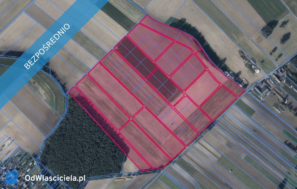 Duża działka 330 tys. m² z dostępem do drogi, bez prowizji Łagiewniki  330 493m2 Foto 1
