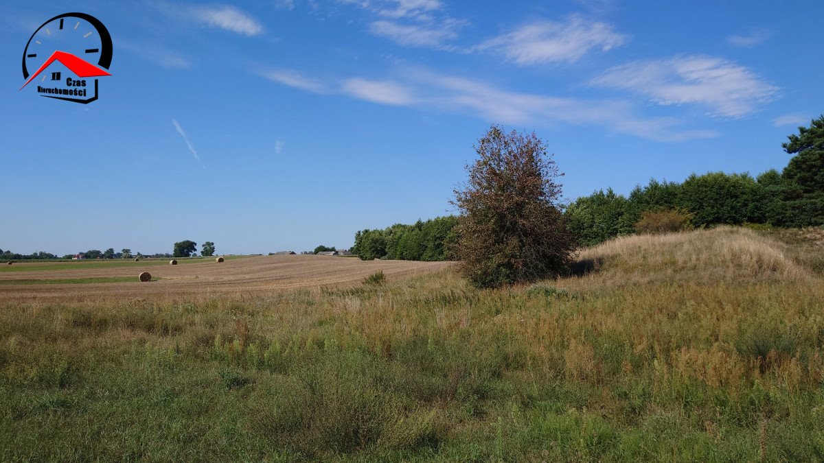 Działka gospodarstwo rolne na sprzedaż Góraj  4 760m2 Foto 1