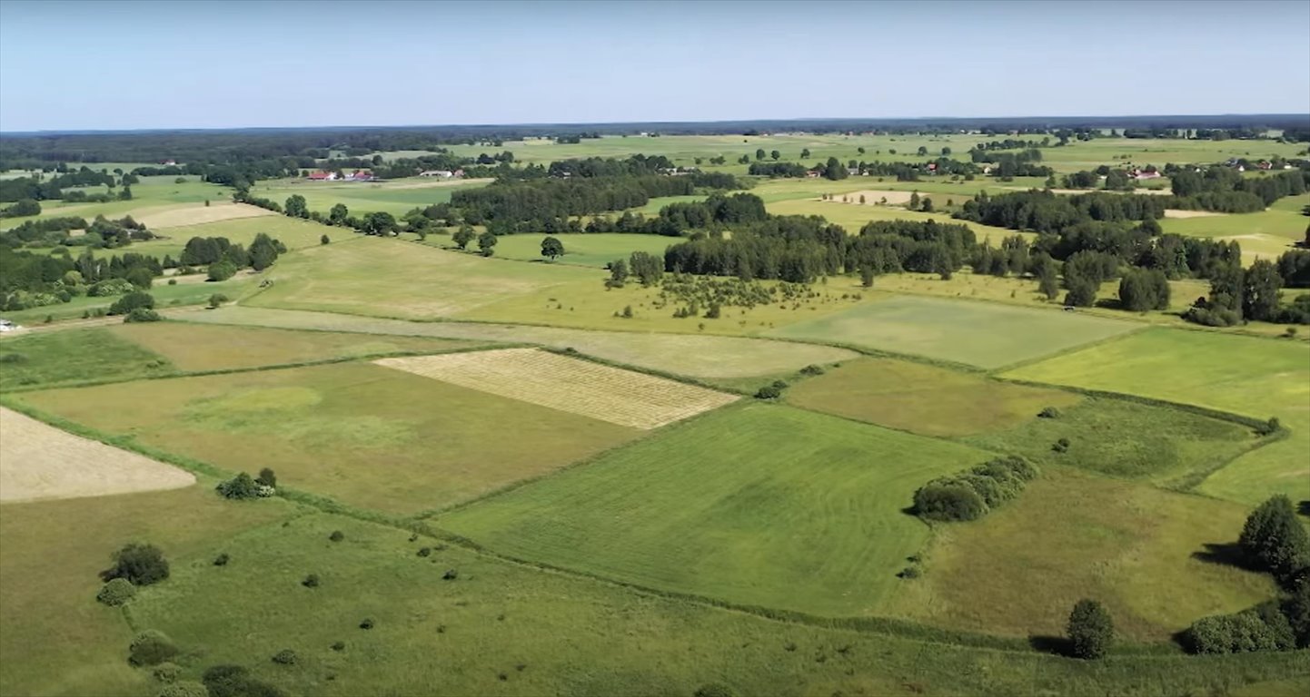 Działka rolna na sprzedaż Orzyny  8 200m2 Foto 6