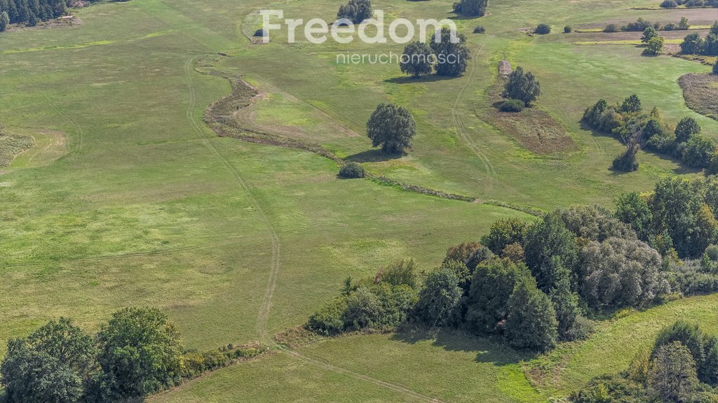 Działka rolna na sprzedaż Ostrówiec  3 924m2 Foto 5