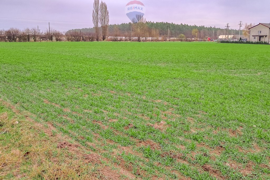 Działka budowlana na sprzedaż Świnice Warckie, Dworcowa  7 222m2 Foto 11