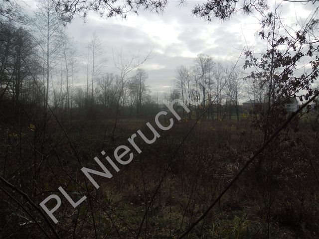 Działka leśna na sprzedaż Goździówka  3 692m2 Foto 8