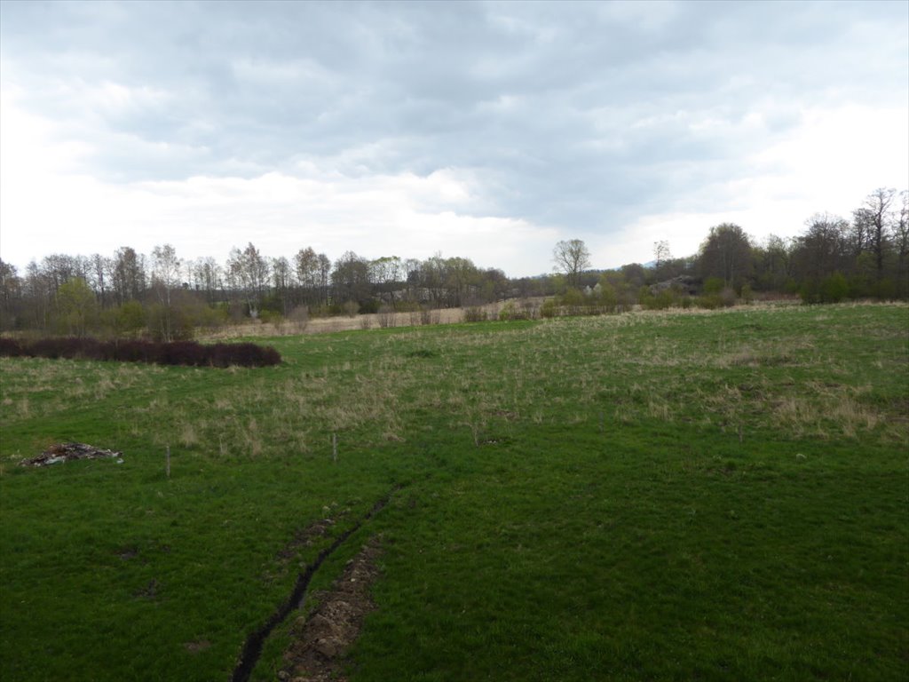 Działka 7 ha w Polanica-Zdrój, blisko centrum, las, cisza Polanica-Zdrój  70 000m2 Foto 1