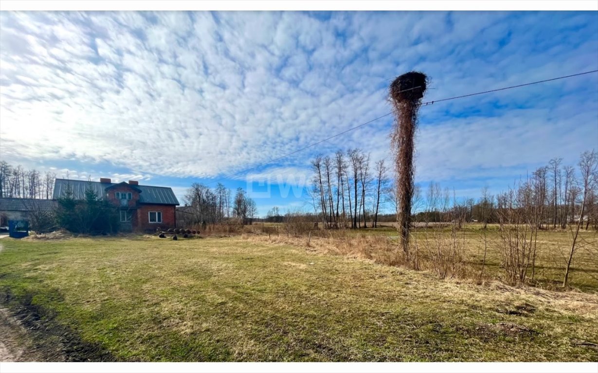 Działka inna na sprzedaż Brzozówka, Brzozówka  99 000m2 Foto 1