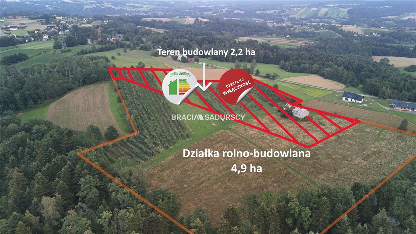 Działka budowlana na sprzedaż Łapanów, Wolica, Wolica  49 000m2 Foto 1