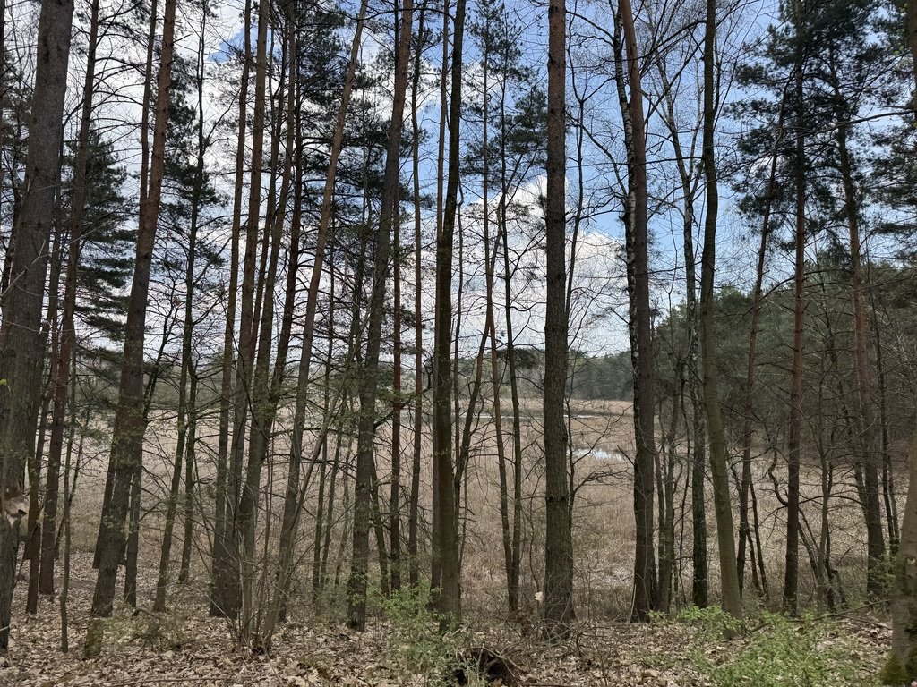Działka budowlana na sprzedaż Uzarzewo-Huby  1 012m2 Foto 6