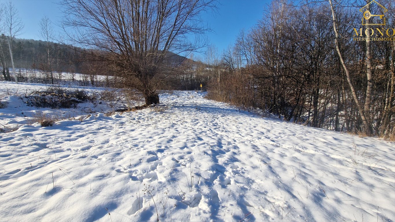 Działka budowlana na sprzedaż Krasne Potockie  4 200m2 Foto 6