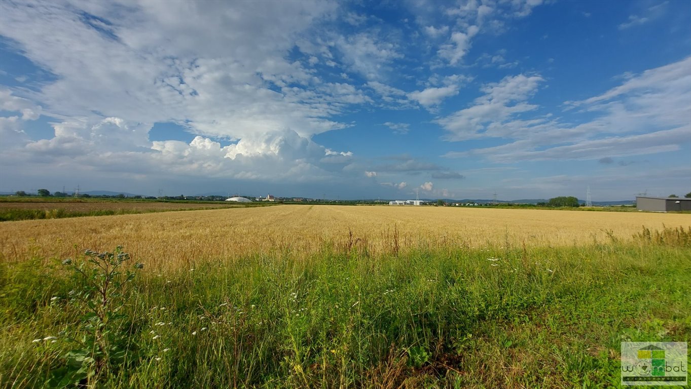 Działka inna na sprzedaż Pieszyce  918m2 Foto 1