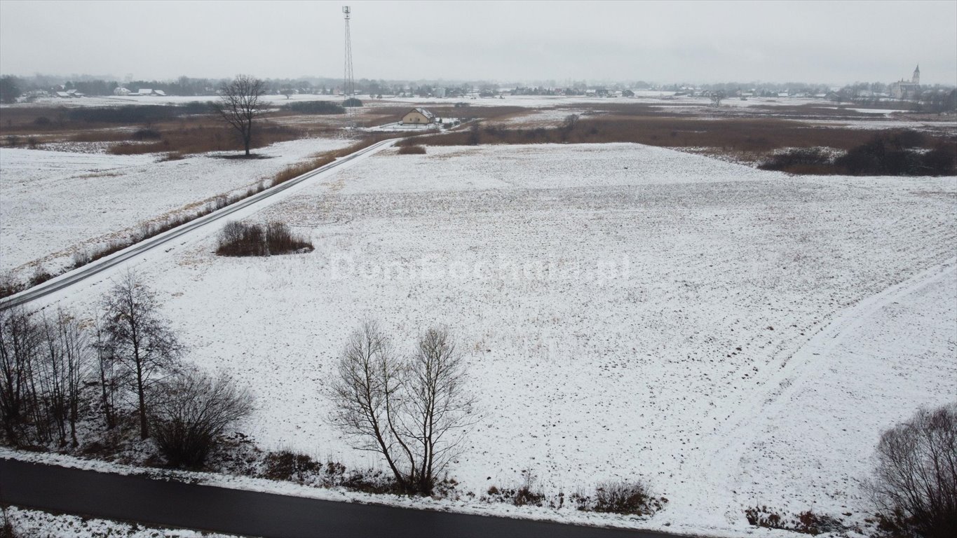 Działka rolna na sprzedaż Dębina  8 902m2 Foto 8