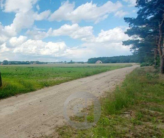 Działka 1600 m² z mediami, cisza i szybki dojazd Dziersławice  1 600m2 Foto 1