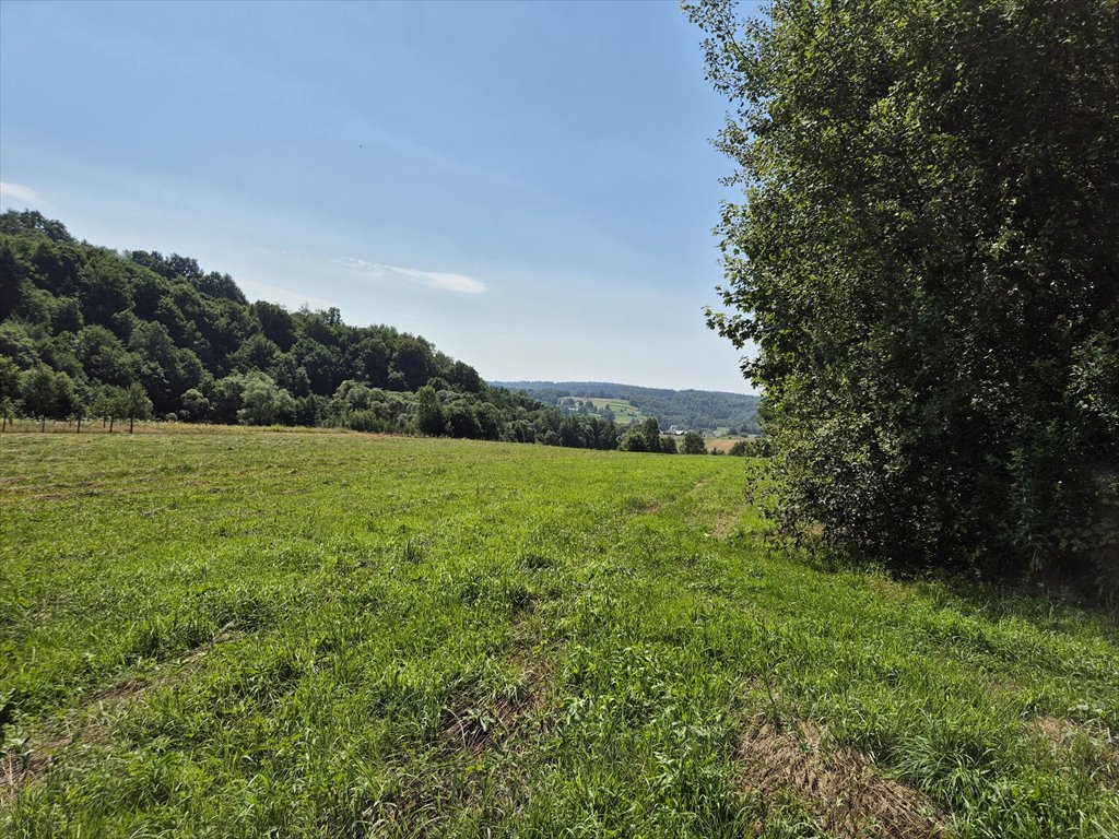 Działka rolna na sprzedaż Golcowa  8 051m2 Foto 10