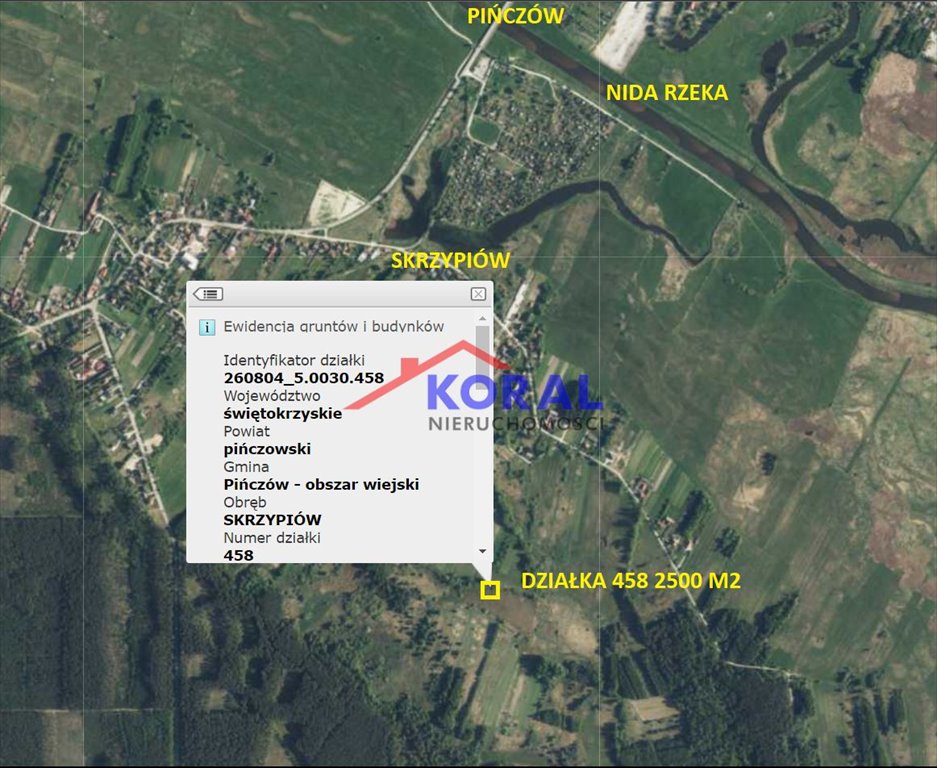 Działka rolna na sprzedaż Skrzypiów, Skrzypiów - Pińczów  2 500m2 Foto 1