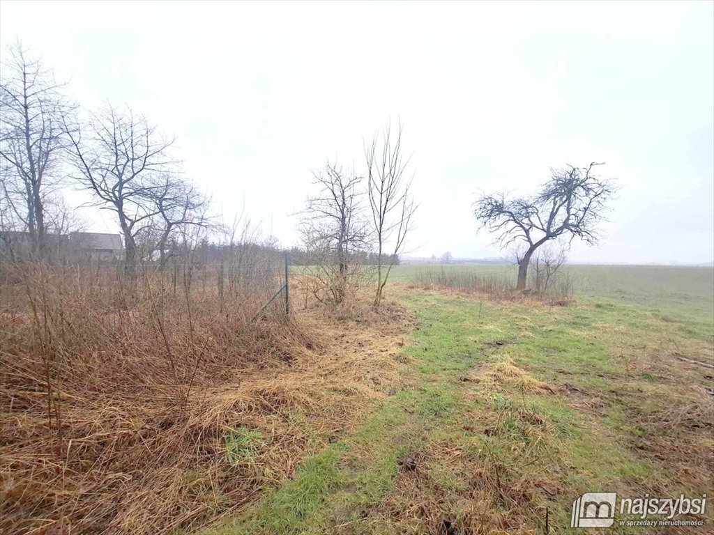 Działka rolna 2600 m² z dostępem do mediów i asfaltową drogą Dobrzany, obrzeża  2 600m2 Foto 1