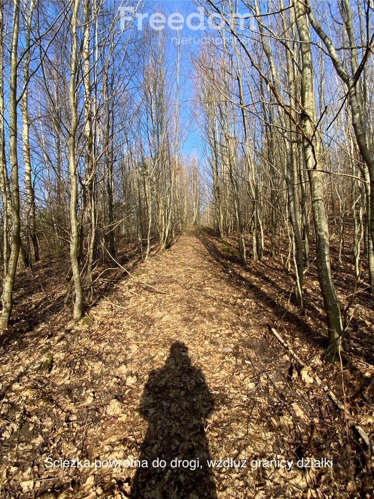 Działka siedliskowa na sprzedaż Szczodrowo  30 600m2 Foto 10