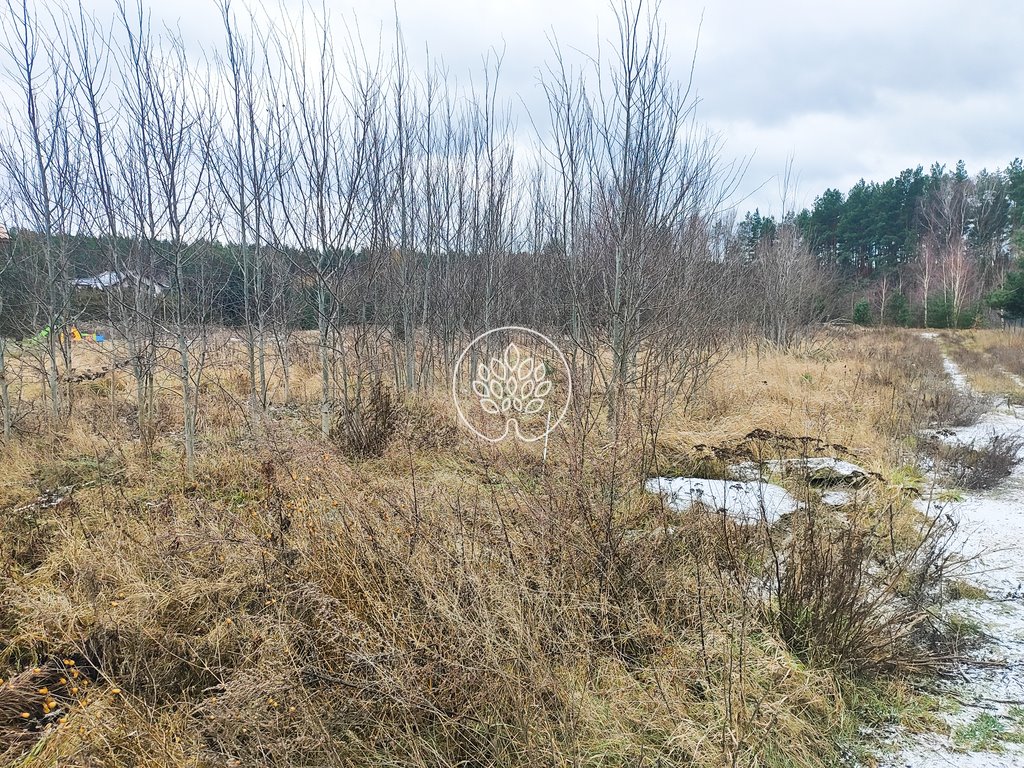 Działka budowlana na sprzedaż Niwy  678m2 Foto 3