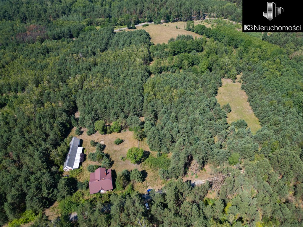 Działka budowlana na sprzedaż Orzełek  80 000m2 Foto 3