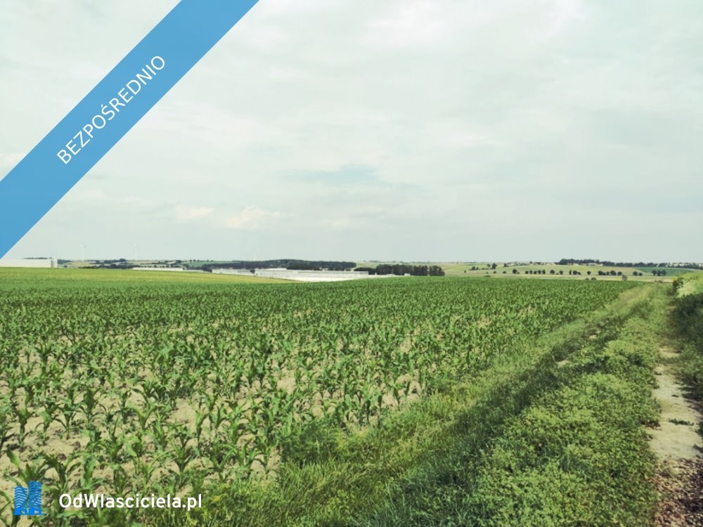 Działka budowlana na sprzedaż Gostyń  6 700m2 Foto 4