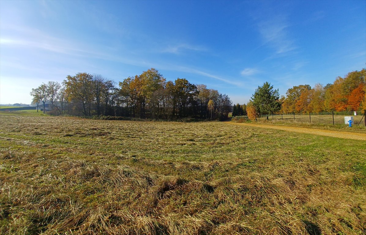 Działka budowlana na sprzedaż Pisarzowice  2 362m2 Foto 4