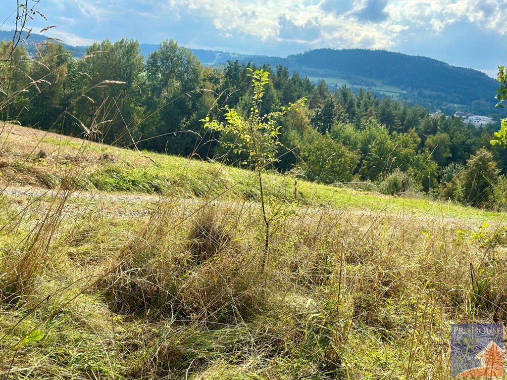 Działka budowlana na sprzedaż Limanowa, Stara Wieś  5 700m2 Foto 7