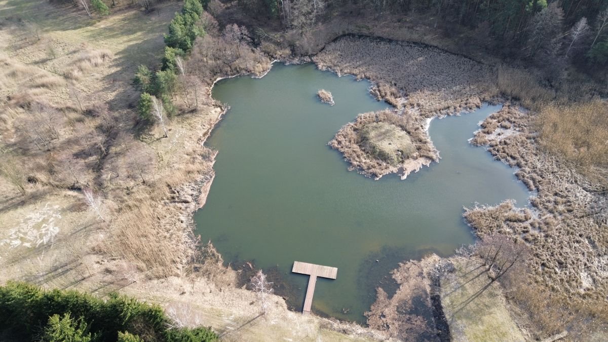 Lokal użytkowy na sprzedaż Tartak  52 600m2 Foto 28