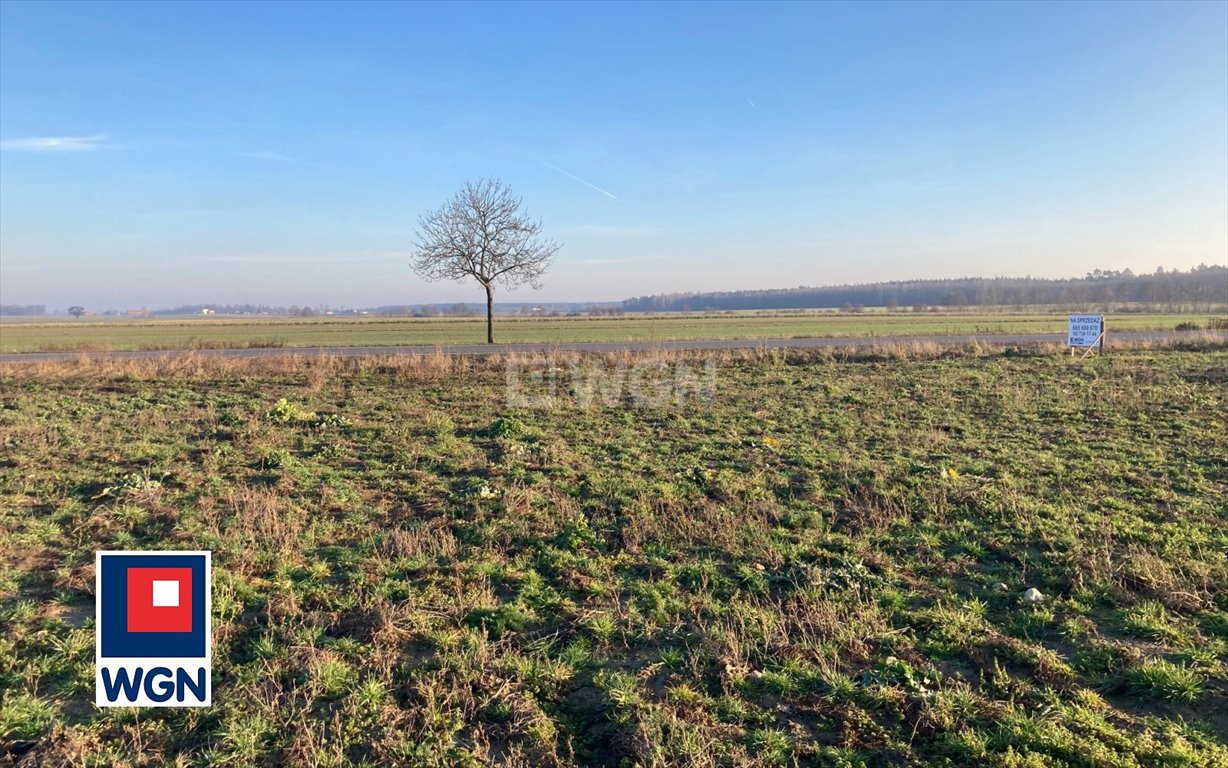 Działka inwestycyjna na sprzedaż Sobótka, Sobótka  8 500m2 Foto 5