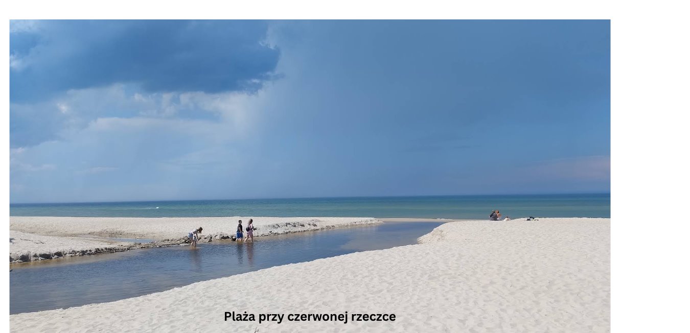 Działka rolna na sprzedaż Pleśna  749m2 Foto 12