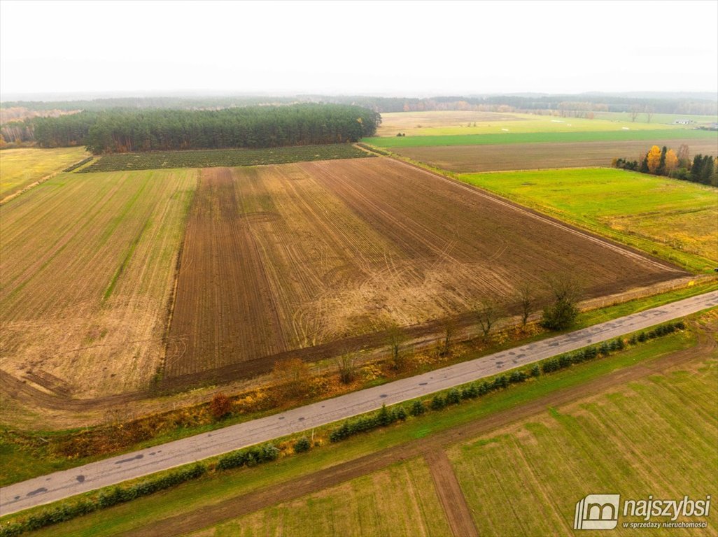 Działka budowlana na sprzedaż Węgorza, Wieś  1 498m2 Foto 10