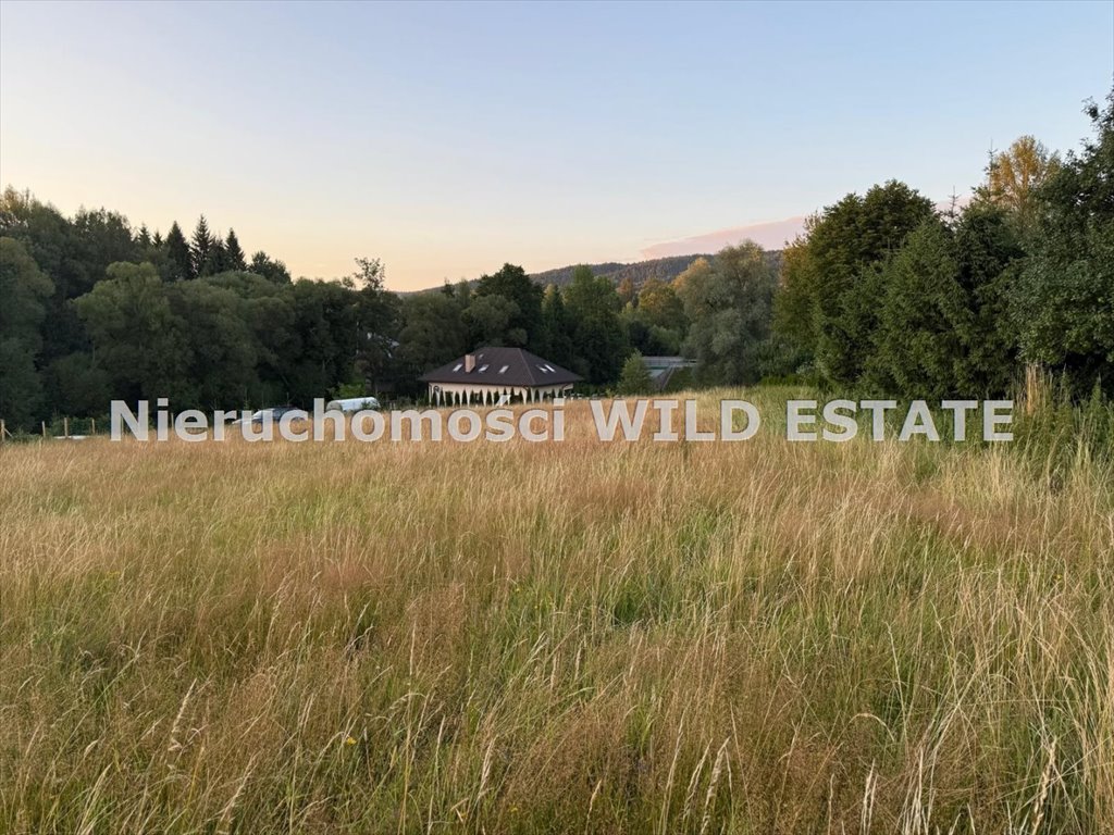 Działka budowlana na sprzedaż Czarna  2 839m2 Foto 1