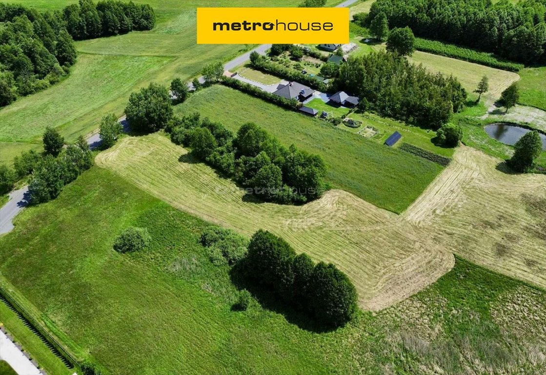 Działka budowlana na sprzedaż Bekiesza  5 500m2 Foto 1