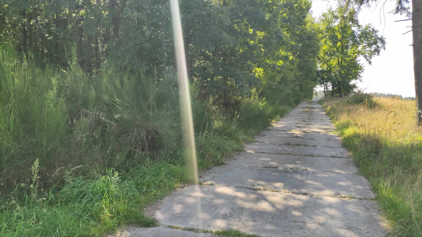 Działka leśna z prawem budowy na sprzedaż Głobino, Przy Lesie  6 200m2 Foto 13