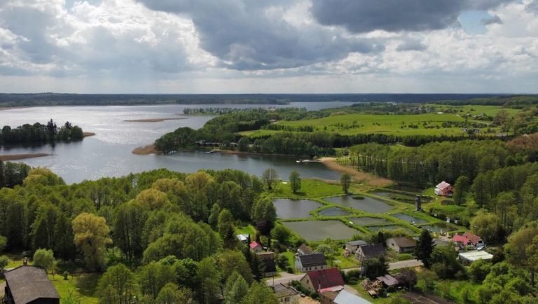 Działka leśna 4900 m² nad jeziorem w Lubieszewie Lubieszewo  4 900m2 Foto 1