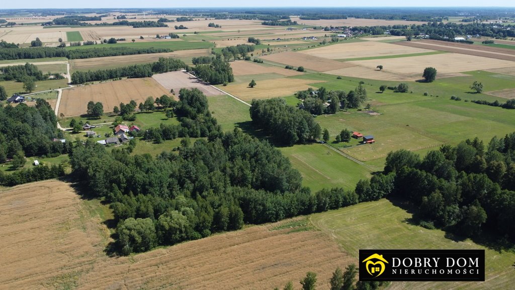 Działka budowlana na sprzedaż Rafałówka  20 551m2 Foto 4