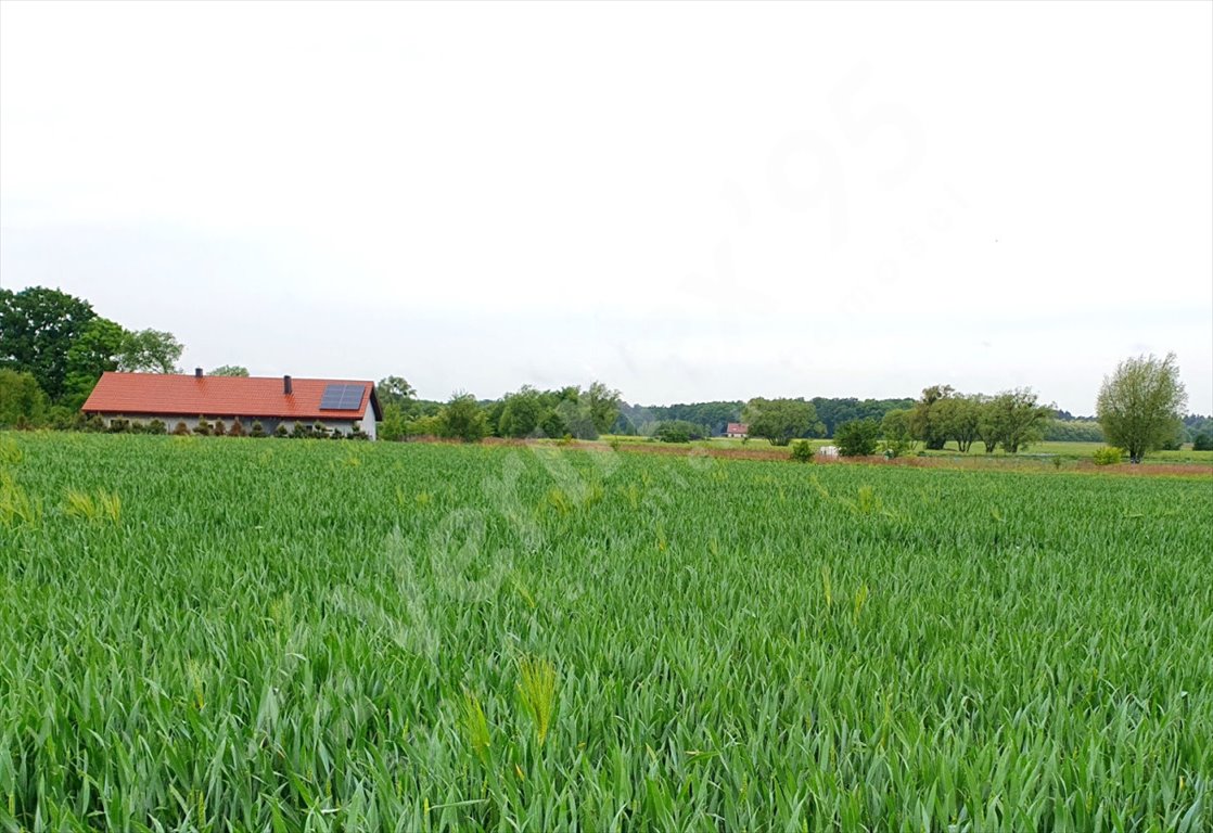 Działka w Juszczynie pod dom lub inwestycję, las, media zapraszam Juszczyn  2 073m2 Foto 1