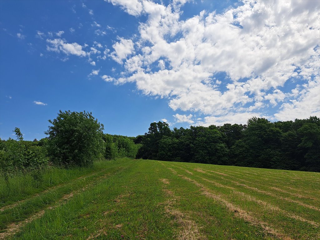 Działka leśna na sprzedaż Podniebyle  6 089m2 Foto 12