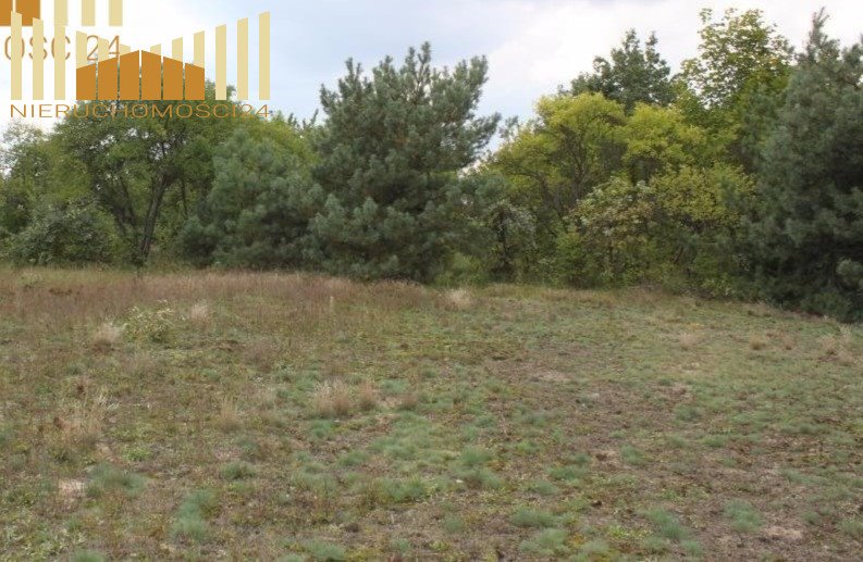 Polecam działkę 1220 m² w Wawerze z MPZP, idealną pod zabudowę jednorodzinną Warszawa, Wawer Borków  1 220m2 Foto 1