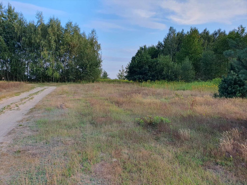 Działka rolna na sprzedaż Medynia Głogowska  2 800m2 Foto 1