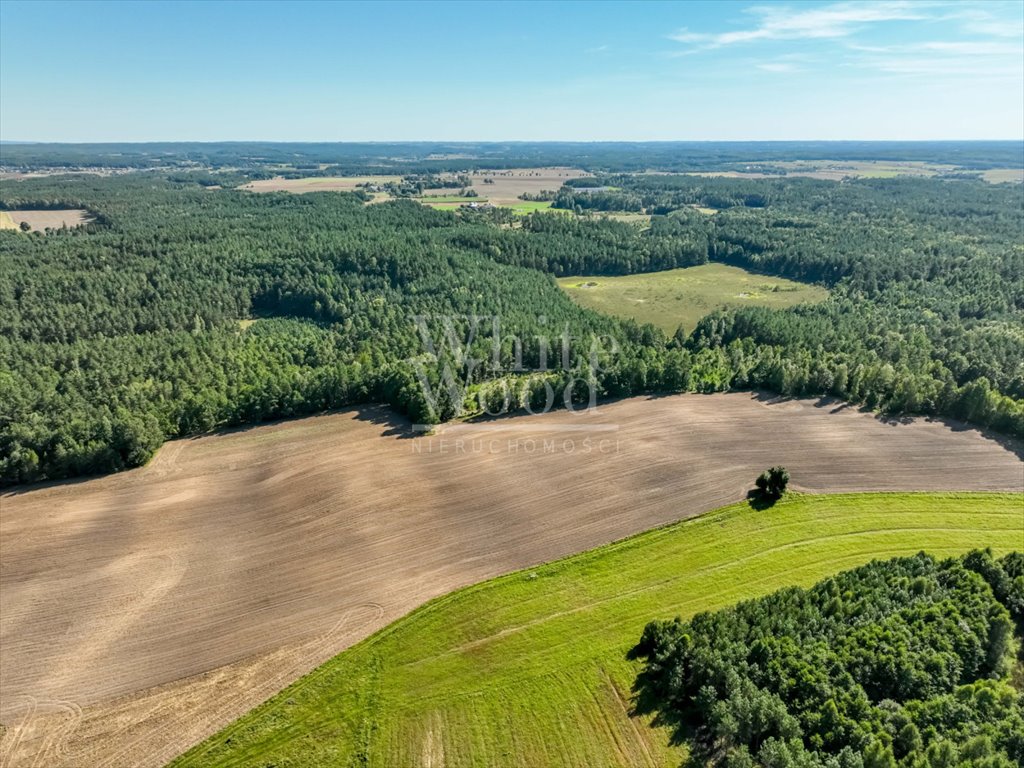 Działka rolna na sprzedaż Kętrzyno  453 100m2 Foto 3