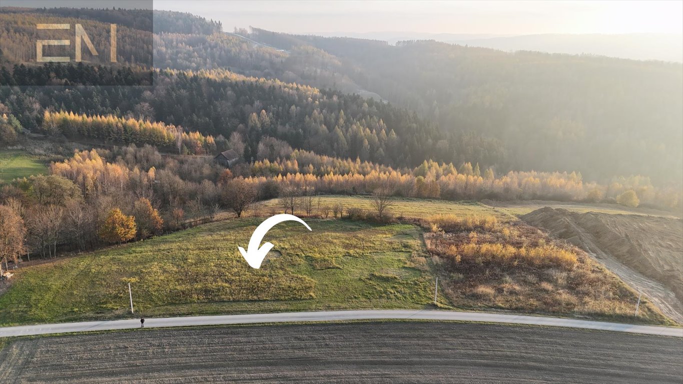 Działka budowlana na sprzedaż Żarnowa  5 000m2 Foto 2